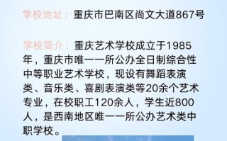 哪些学校承认重庆美术联考成绩？