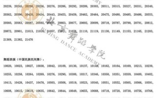 北京舞蹈类承认其他校考有何影响？