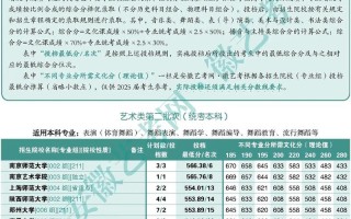 舞蹈专业艺考总分多少