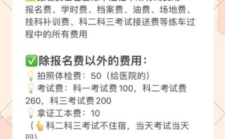艺考报名缴费查询通道在哪？