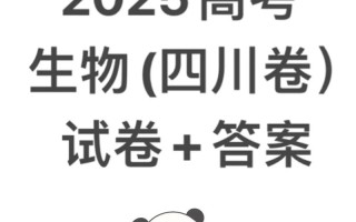 2025四川联考240分是什么水平？
