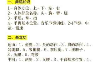 艺术舞蹈类应考什么内容