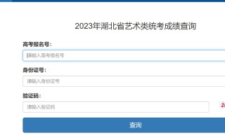 湖北省表演联考成绩何时能查？