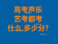 湖南音乐高考考哪些科目？