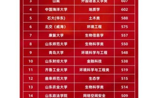 山东联考成绩满分是多少