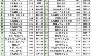 2025山东联考本科线是多少？
