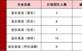 上海大学音乐专业排名如何？