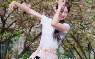 武汉体育舞蹈艺术学校招生有何条件与流程？