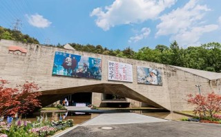 2025国美招生政策有何新变化？