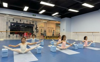 承认甘肃联考的舞蹈学校