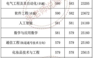 上海应用技术大学美术分数线多少？