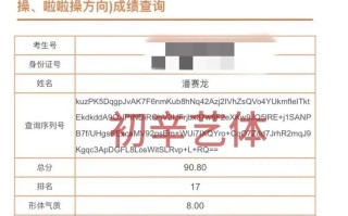 安徽省舞蹈艺考总分到底是多少？