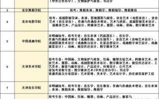 2025年艺考大学有哪些？