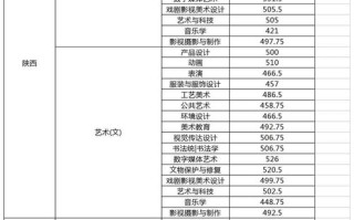武夷学院美术录取分数线是多少？