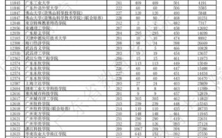 广东2025美术投档线