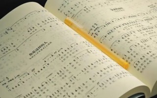 2025年黑龙江音乐高考，新政策下，考生如何备考才能脱颖而出？