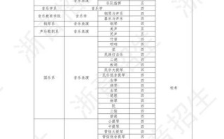 音乐表演大专前景究竟如何？