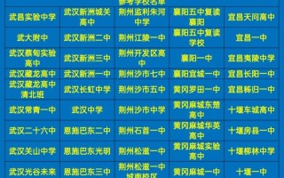 湖北2025联考人数有多少？