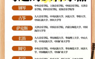 江苏音乐统考器乐157分是什么水平？