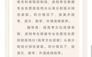 上海工艺美术职业学院2025分数线多少？