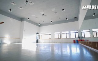 舞蹈学院艺考2025