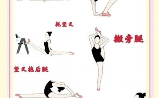 体育舞蹈的舞姿具体分哪几种？