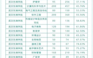 东湖学院大专(美术)招生条件有哪些？