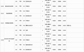 2025美术征集志愿有哪些院校可选？