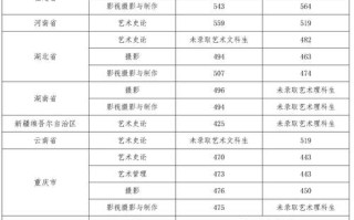 四川美术生多少分能上川音？