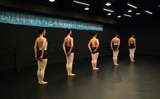 河北传媒学院舞蹈文化课有何特色？