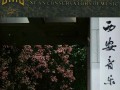 西安音乐学院是985