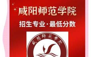 咸阳师范学院美术专业录取分数线