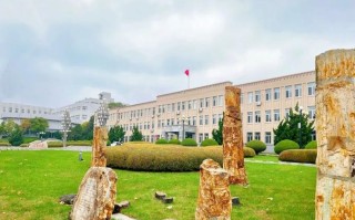 辽宁师范(美术)专业实力如何？