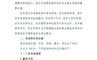 河北音乐统考考什么？流程是怎样的？