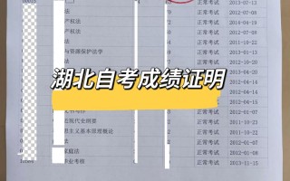 武汉艺考成绩哪里查？