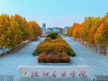 2025年沈阳音乐学院招生计划是什么？