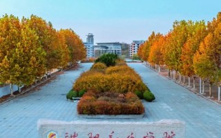 2025年沈阳音乐学院招生计划是什么？