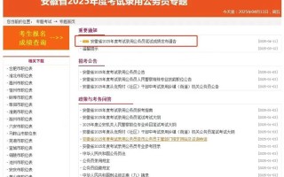 安徽联考成绩怎么查？