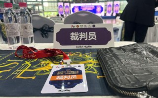 2025中国舞蹈类排名哪家强？