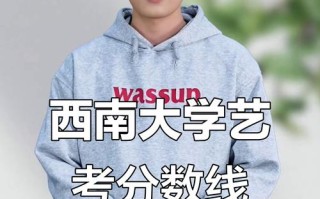 西南大学美术录取只看联考成绩吗？