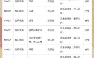 安徽哪所高校音乐专业实力强？