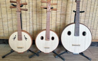 器乐类艺考 常考的乐器