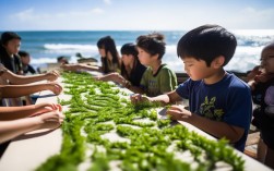 海藻手工diy研学旅行，海藻手工制作