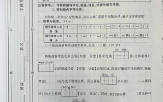 2011年小学四校联考考了什么内容？