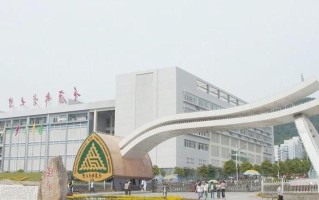 重庆邮电2025美术招生有何新变化？