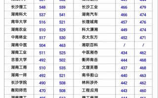 湖南2025年音乐总分