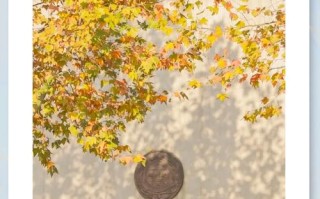 南京艺考辅导班哪家好？南艺附近有哪些靠谱选择？