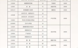 2025艺考各高校简章