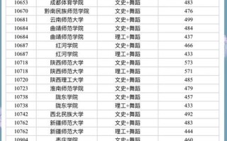 海口经济学院舞蹈生录取分数线多少？