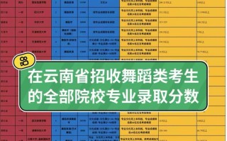 2025音乐与舞蹈学类有何新趋势与变化？